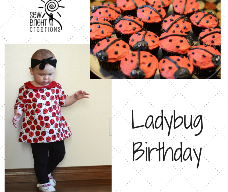 Ladybug Birthday Party