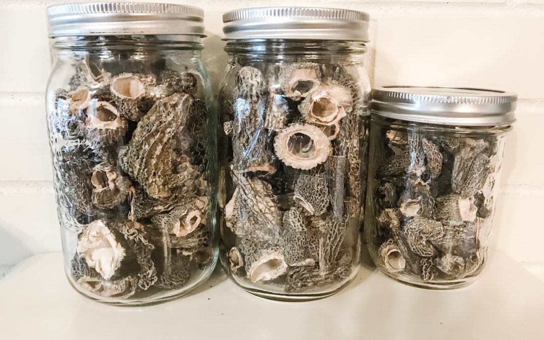 What’s New In My Kitchen: Summer Preserving, Mushrooms + More