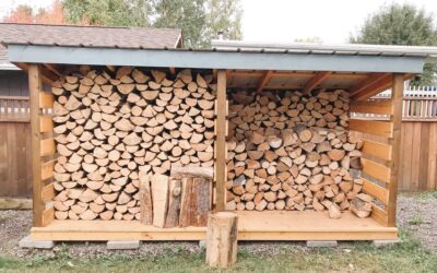FREE Wood Shed Ideas: Drawings + Photos