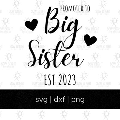 big sister 2023 announcement design
