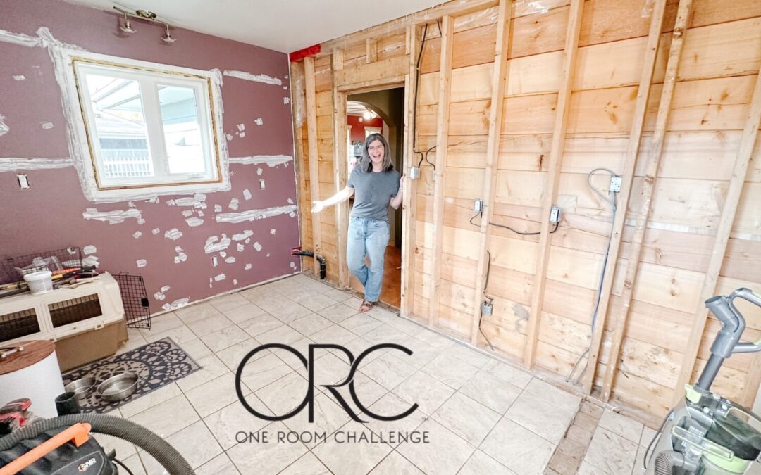 Back Entrance Home Renovation | Week 2 One Room Challenge