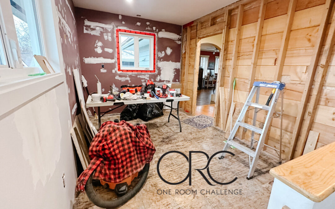 Back Entrance Home Renovation | Week 6 One Room Challenge